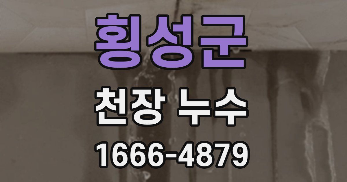 횡성군 천장 누수