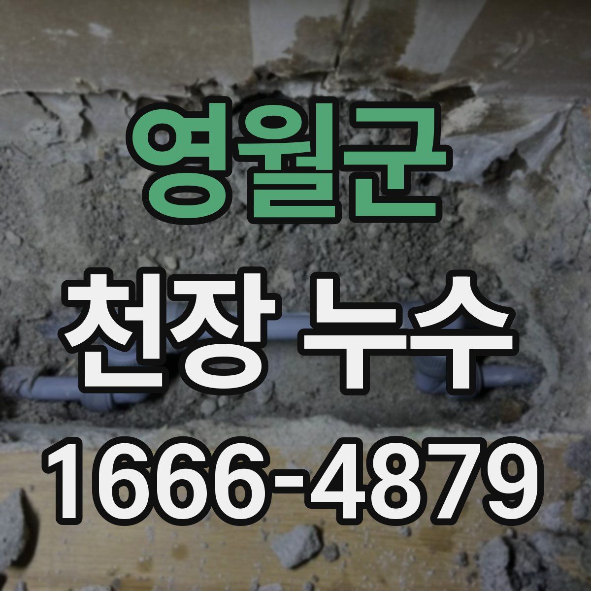 영월군 천장 누수
