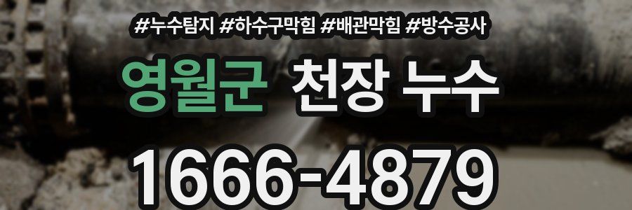 영월군 천장 누수