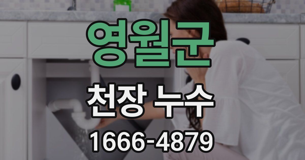 영월군 천장 누수