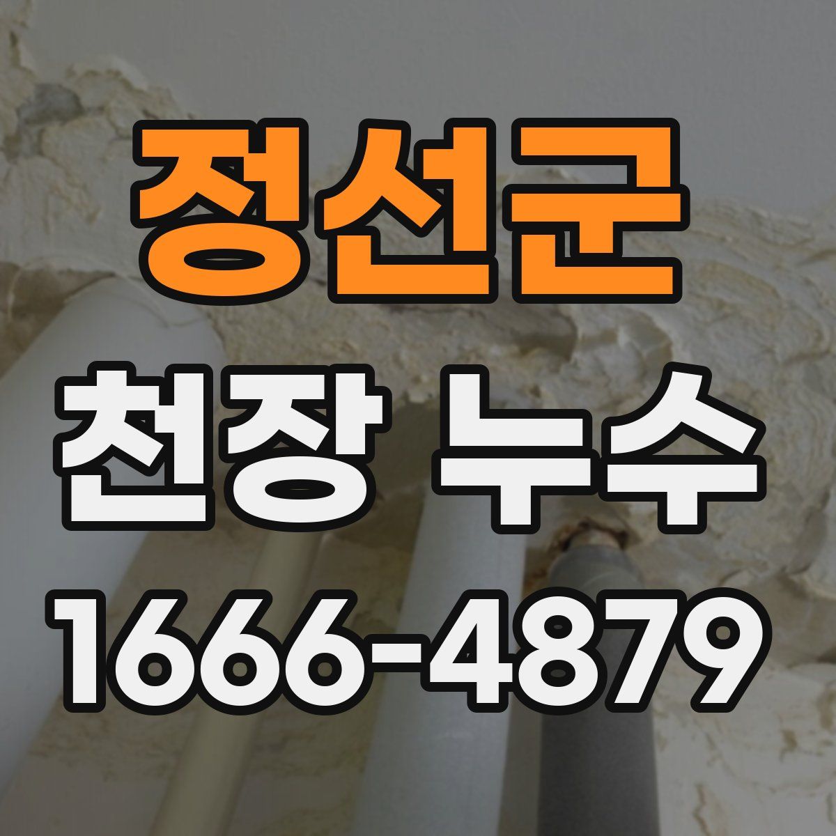 정선군 천장 누수