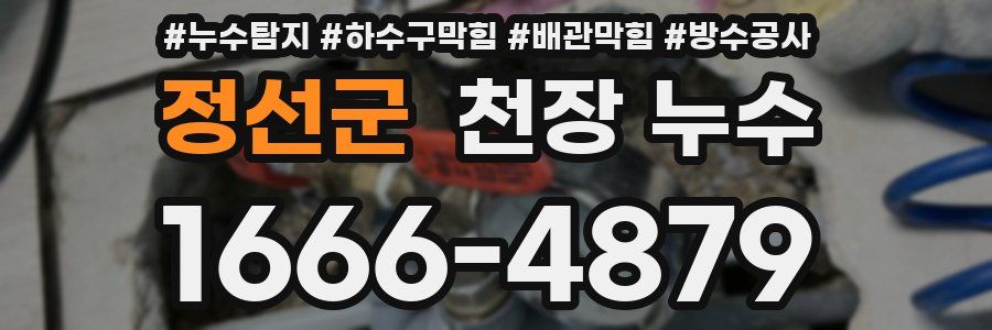 정선군 천장 누수
