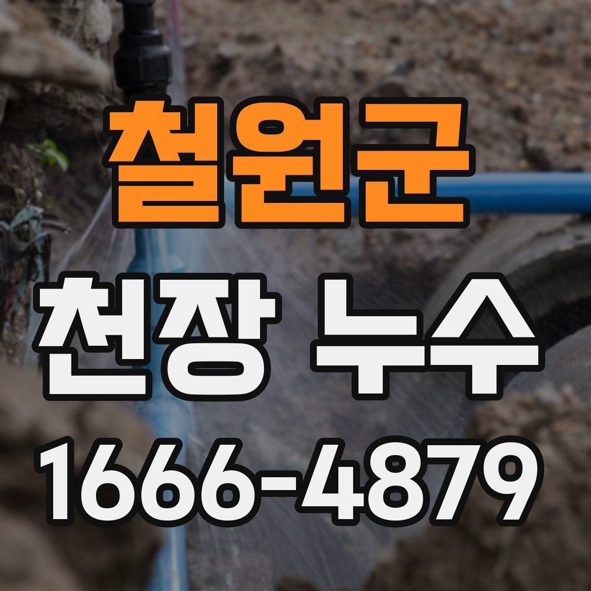철원군 천장 누수