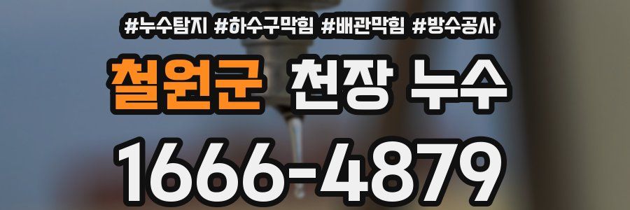 철원군 천장 누수
