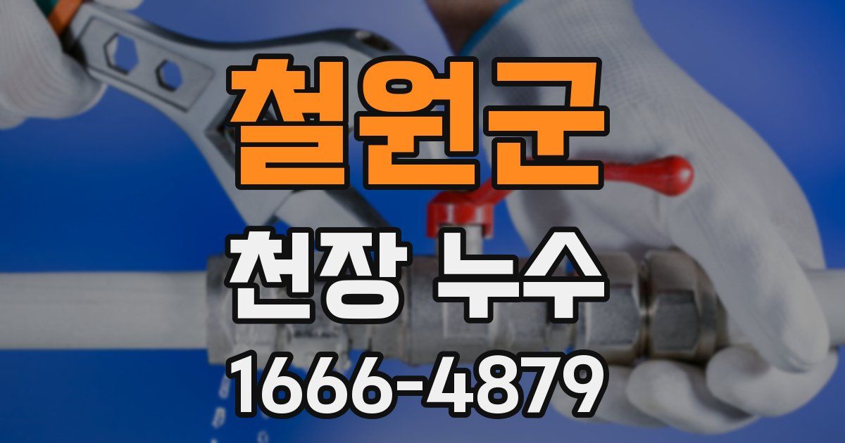 철원군 천장 누수