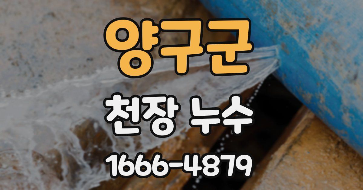 양구군 천장 누수