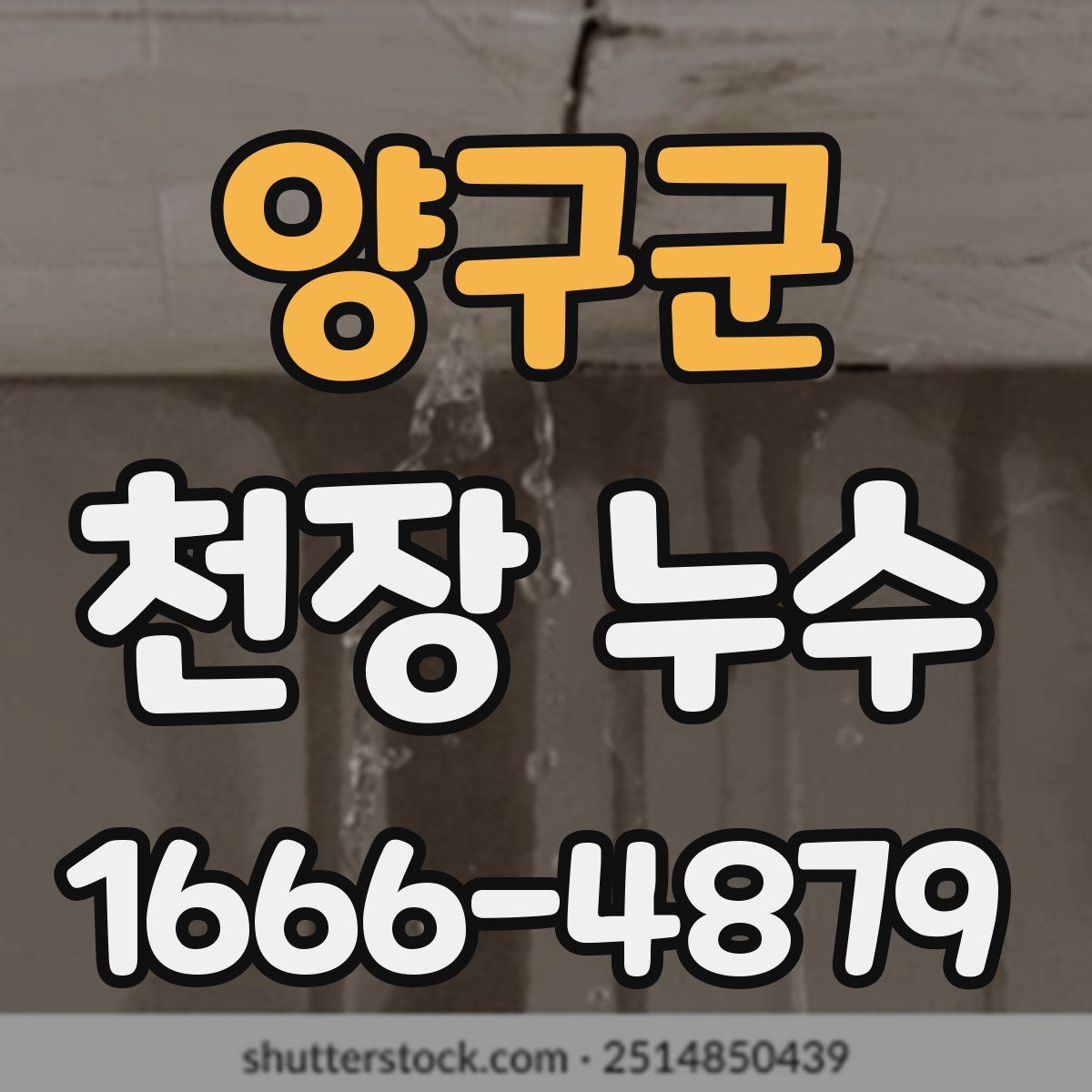 양구군 천장 누수