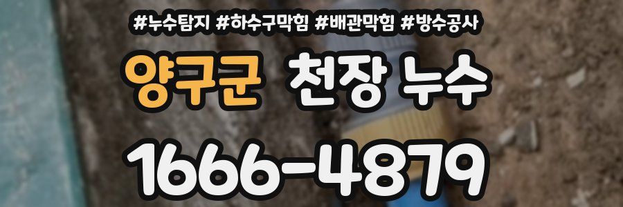 양구군 천장 누수