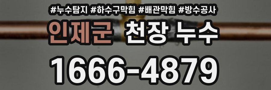인제군 천장 누수