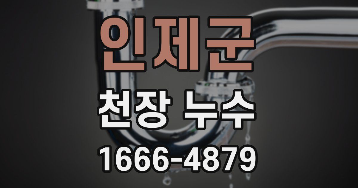 인제군 천장 누수
