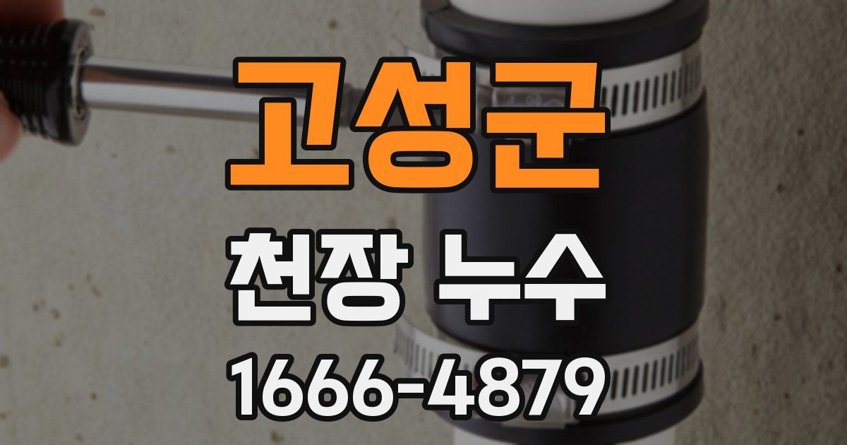 고성군 천장 누수