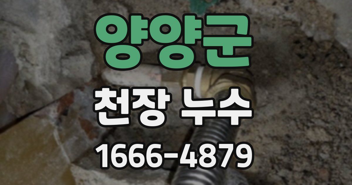 양양군 천장 누수