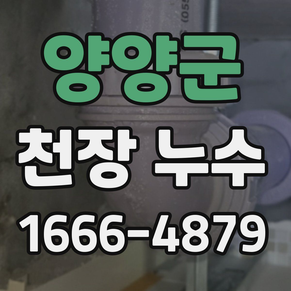 양양군 천장 누수
