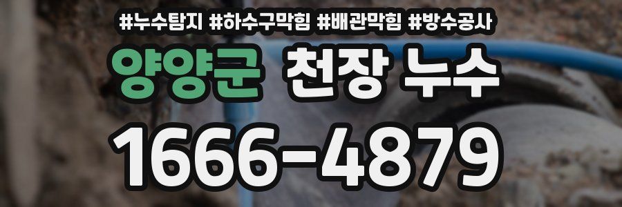 양양군 천장 누수
