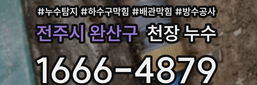 전주시 완산구 천장 누수