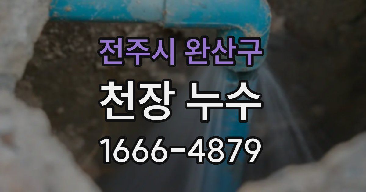 전주시 완산구 천장 누수