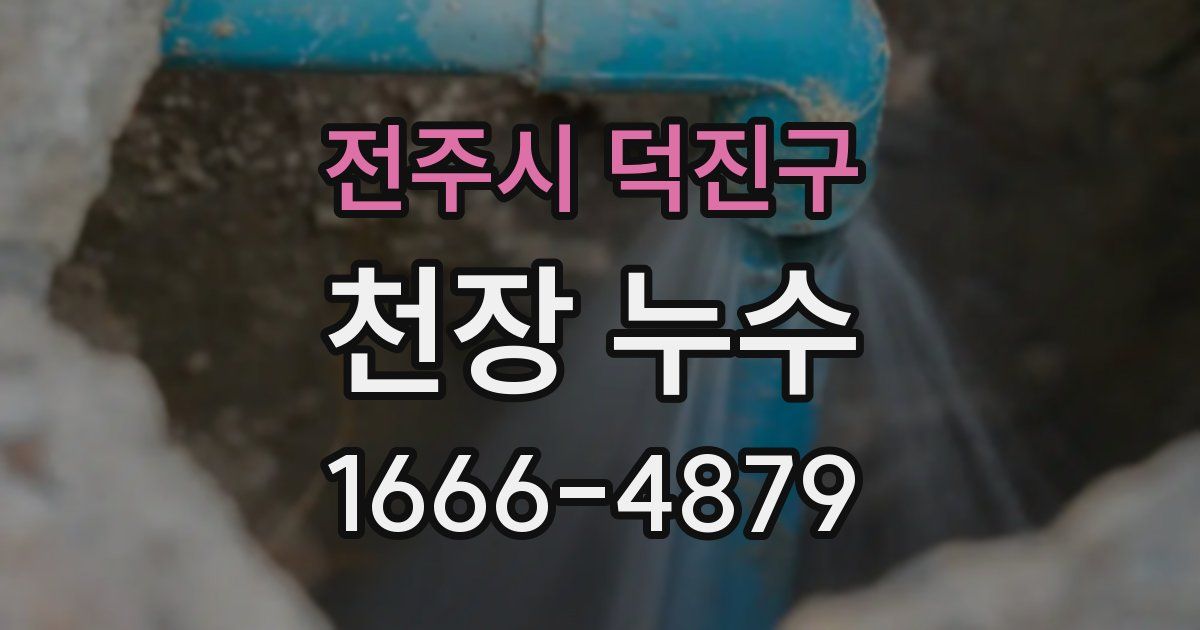전주시 덕진구 천장 누수