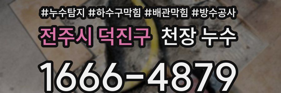 전주시 덕진구 천장 누수