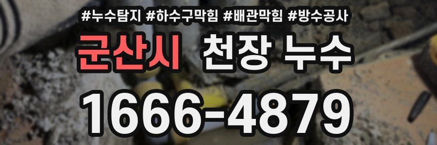 군산시 천장 누수