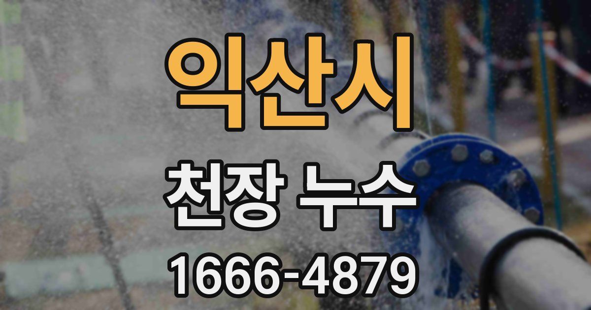 익산시 천장 누수