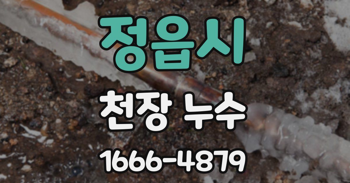 정읍시 천장 누수