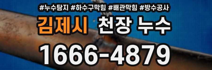 김제시 천장 누수