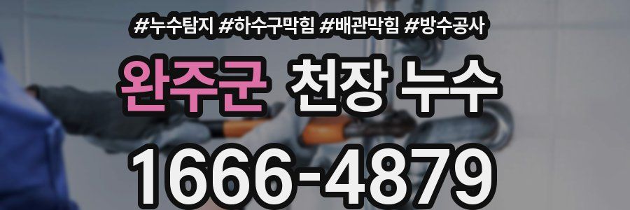 완주군 천장 누수