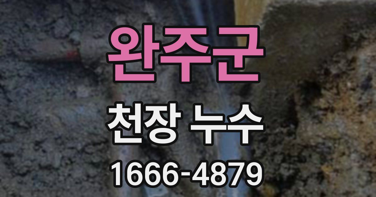 완주군 천장 누수
