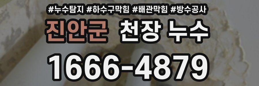 진안군 천장 누수