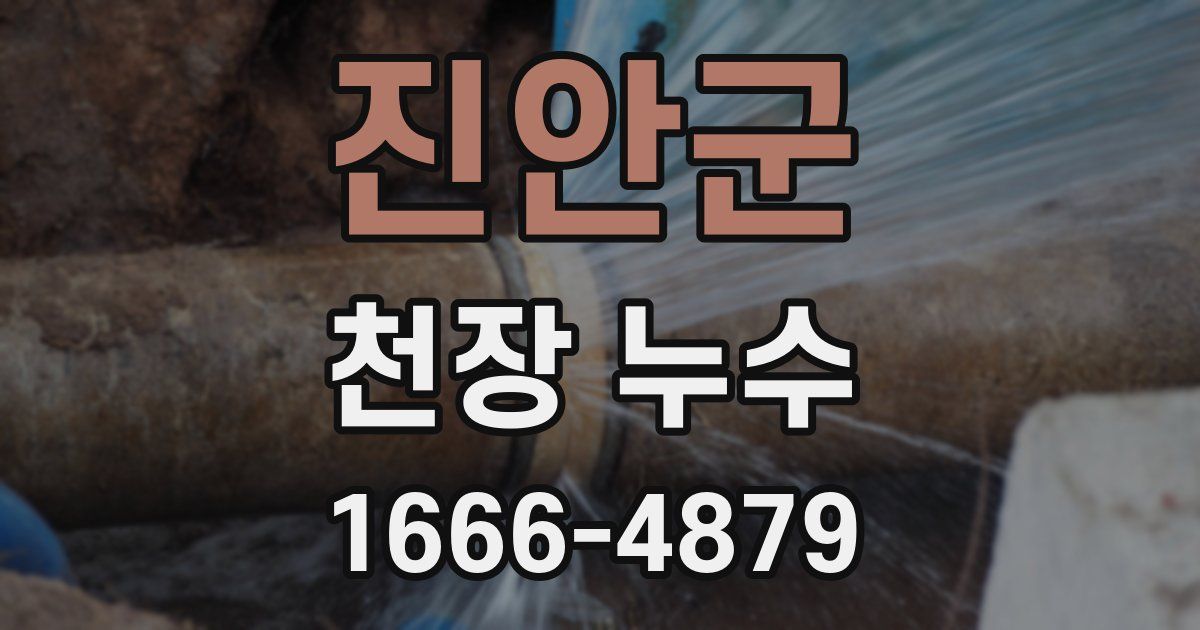 진안군 천장 누수