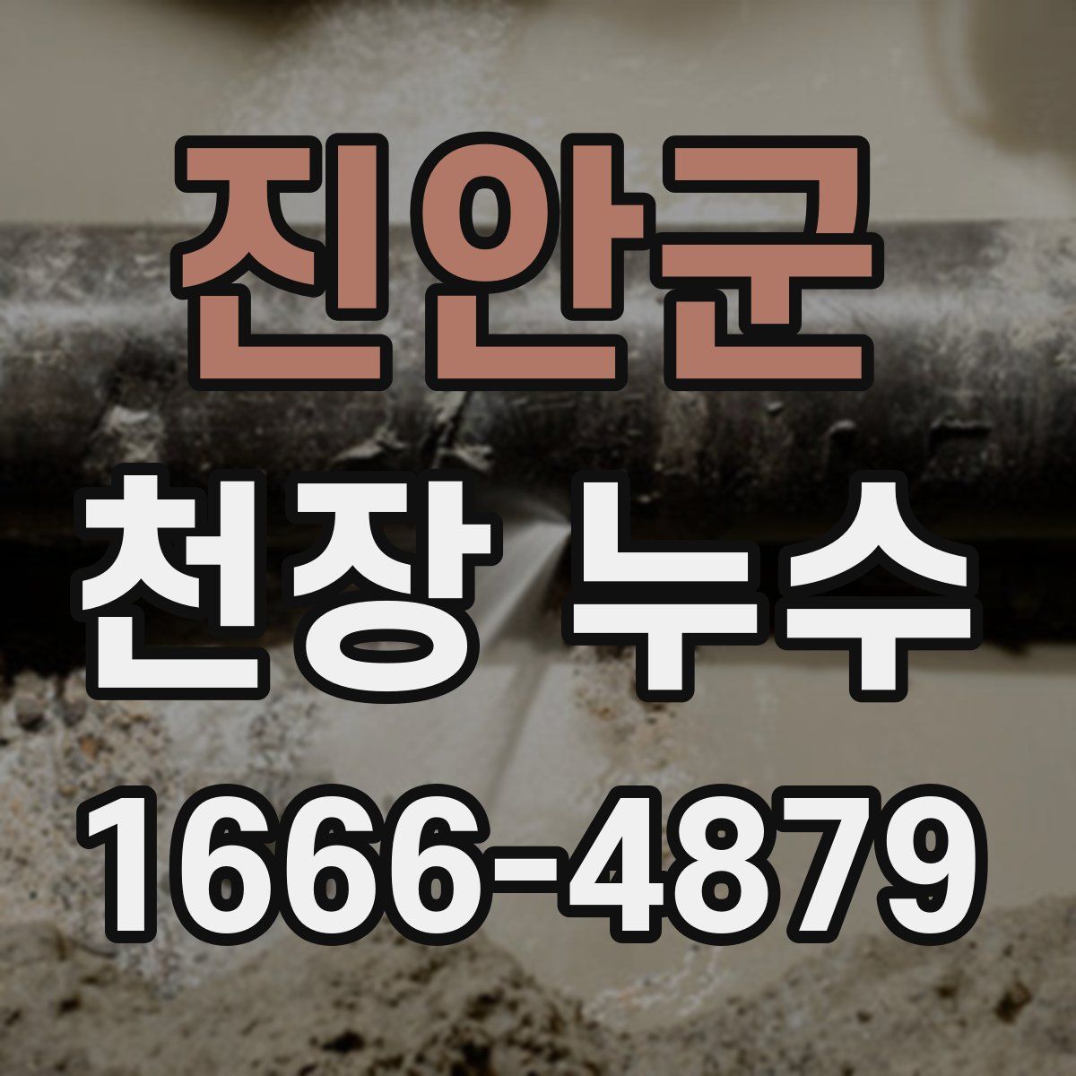 진안군 천장 누수