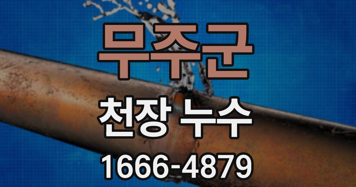 무주군 천장 누수