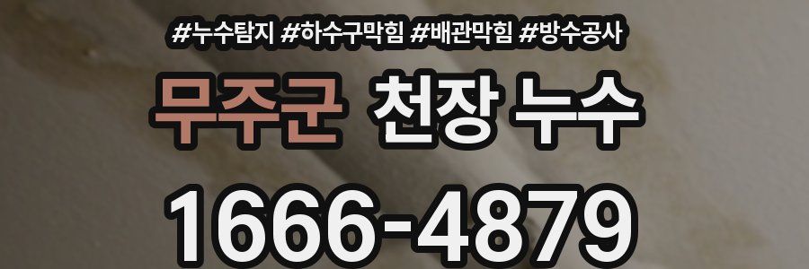 무주군 천장 누수