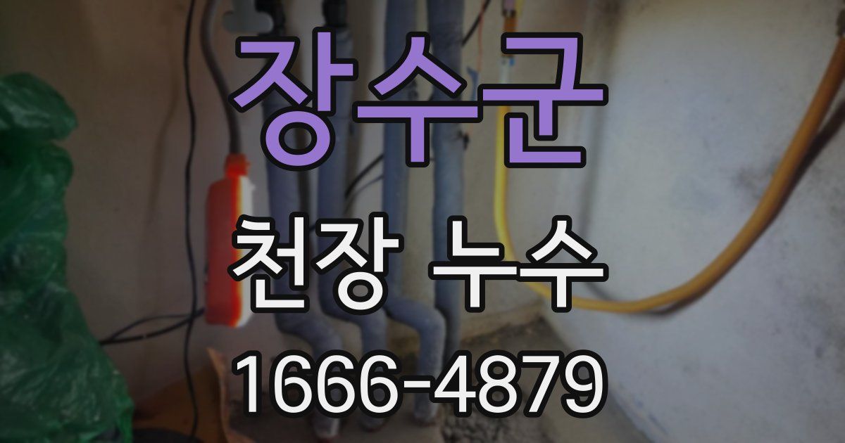 장수군 천장 누수