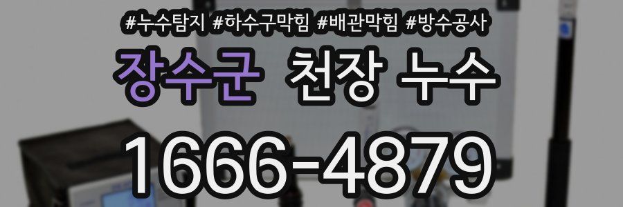 장수군 천장 누수