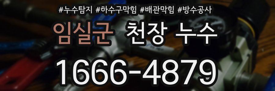 임실군 천장 누수