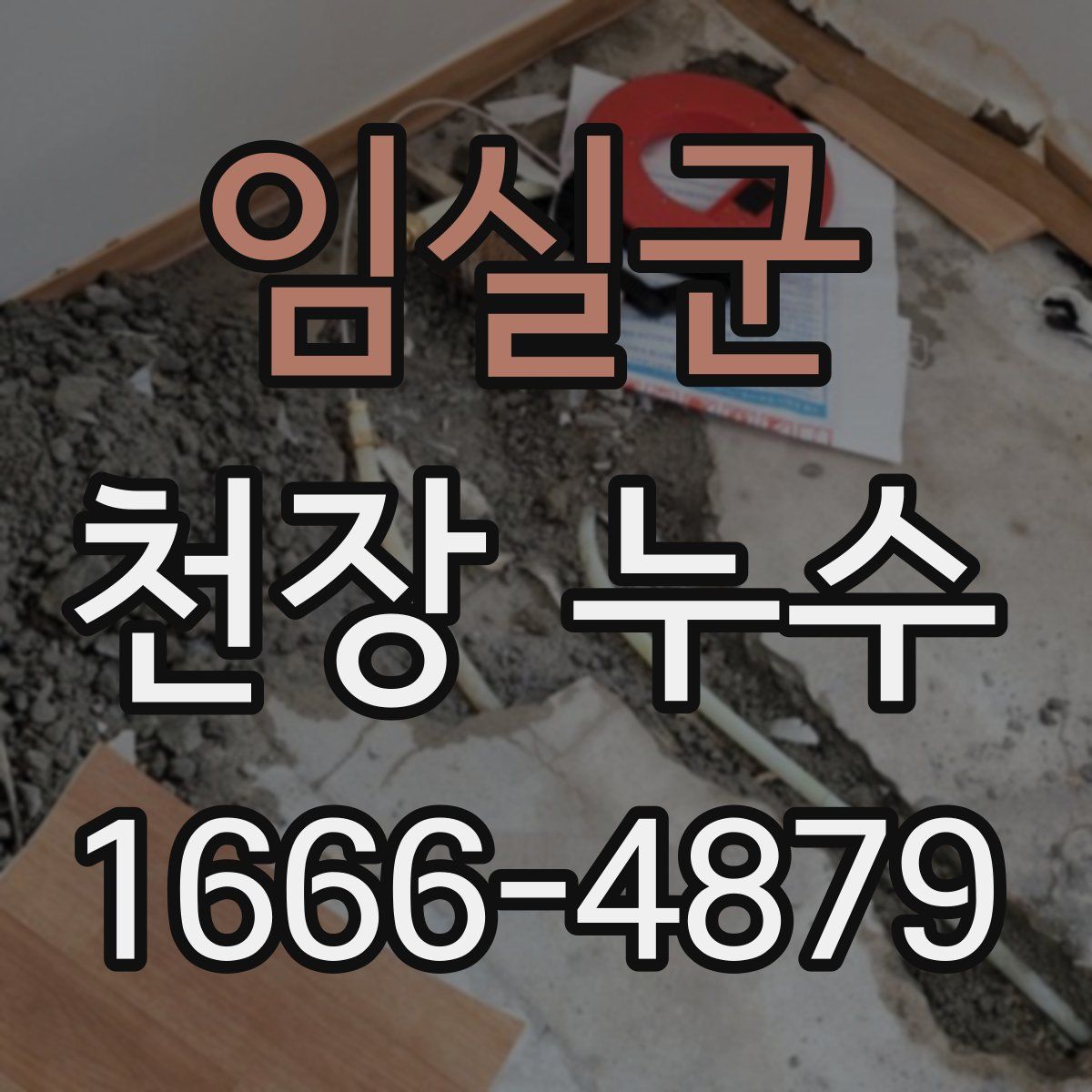 임실군 천장 누수