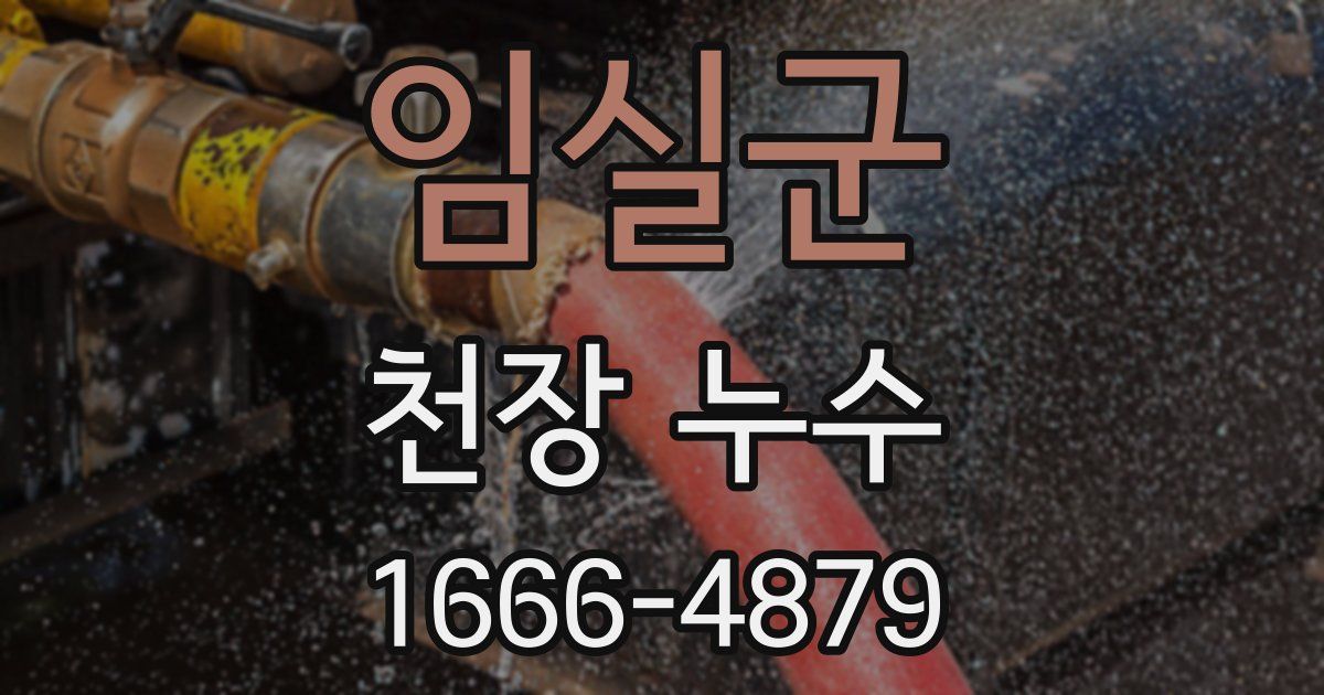 임실군 천장 누수