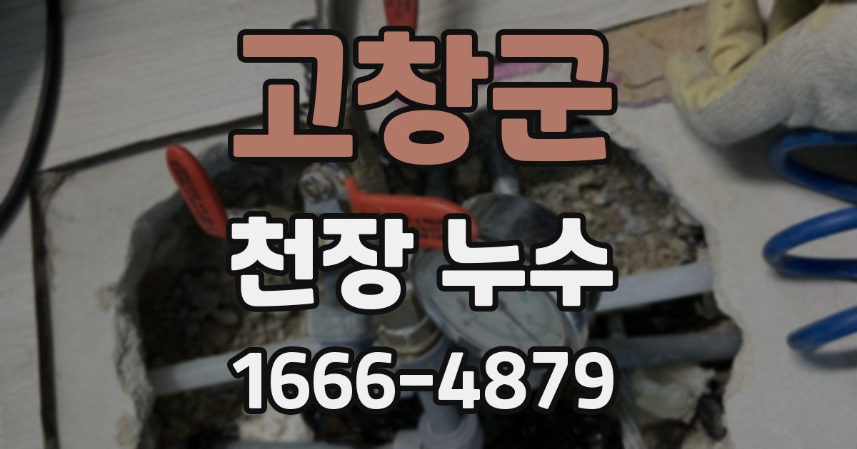 고창군 천장 누수