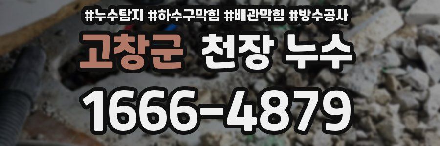 고창군 천장 누수