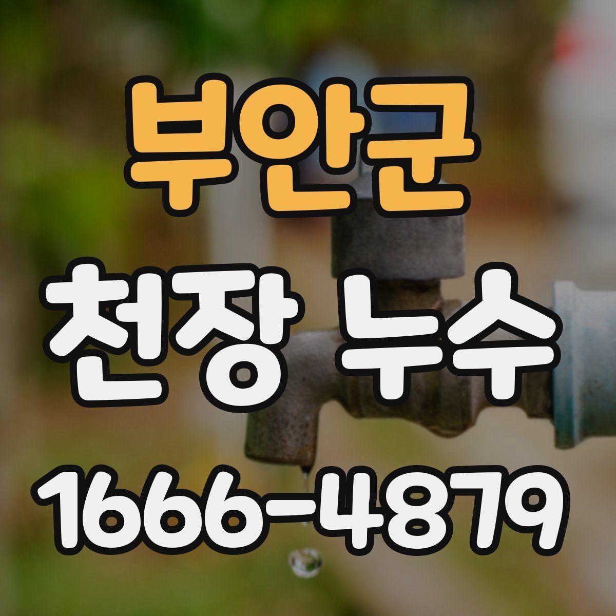 부안군 천장 누수