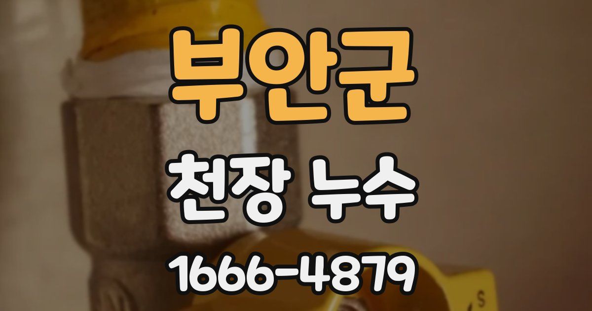부안군 천장 누수