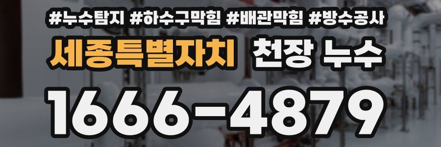 세종특별자치 천장 누수