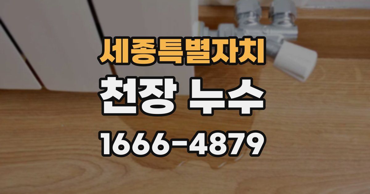 세종특별자치 천장 누수