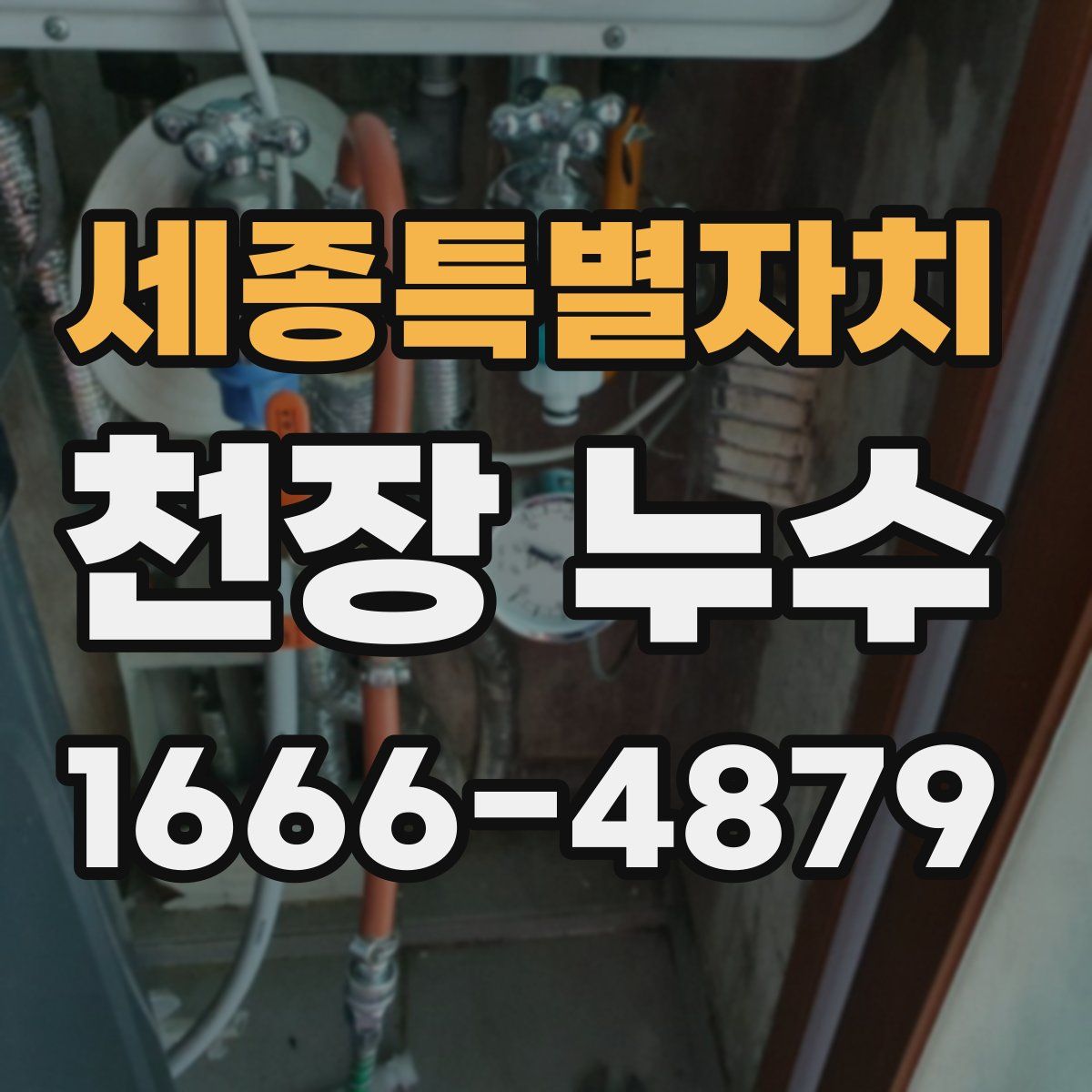 세종특별자치 천장 누수