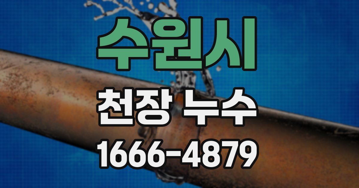 수원시 천장 누수