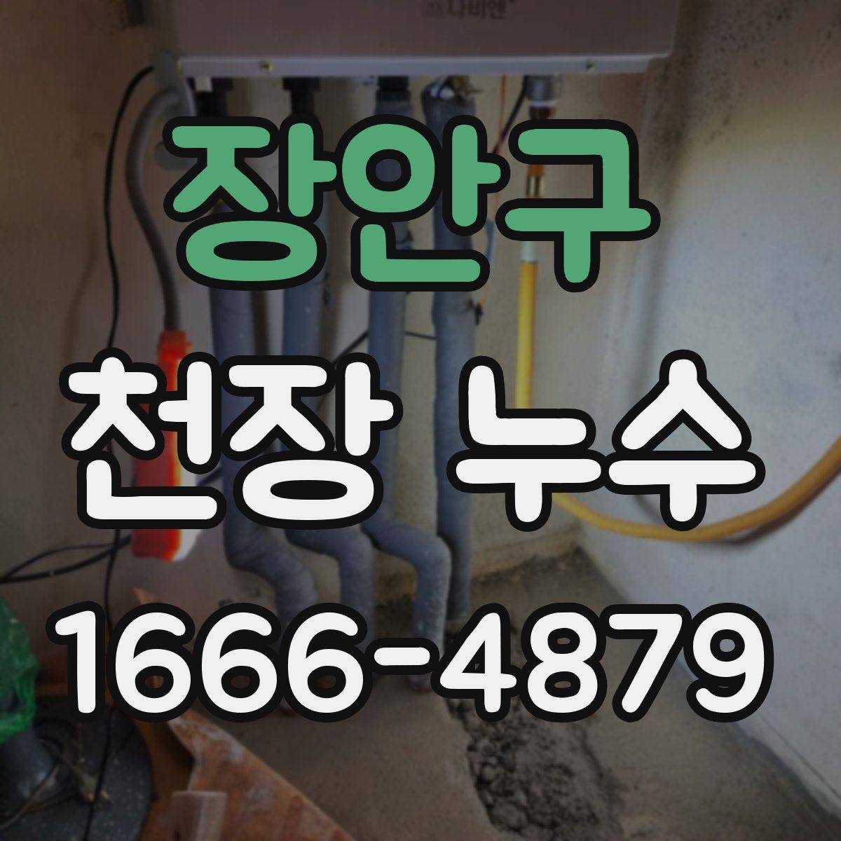 장안구 천장 누수