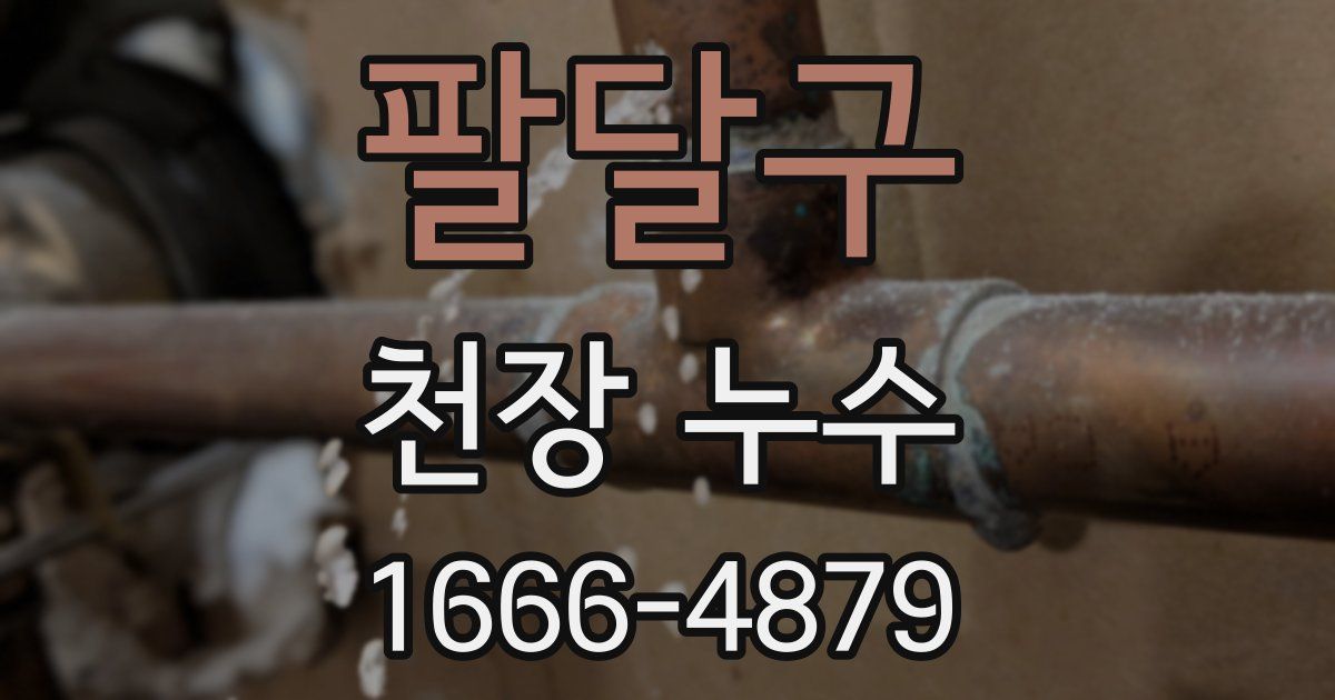 팔달구 천장 누수