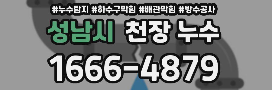 성남시 천장 누수