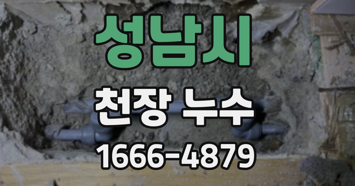 성남시 천장 누수
